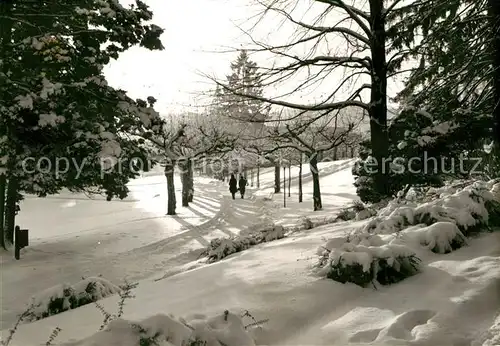 AK / Ansichtskarte Bad Orb Kurpark Winter Kat. Bad Orb