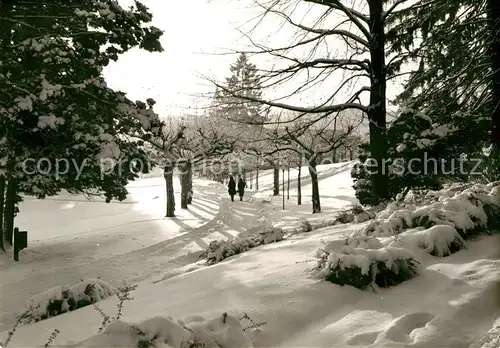 AK / Ansichtskarte Orb Bad Winter im Kurpark Kat. Bad Orb