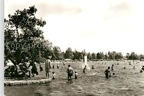 AK / Ansichtskarte Schneeberg Erzgebirge Strandbad Filzteich Kat. Schneeberg