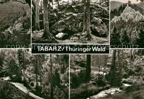 AK / Ansichtskarte Tabarz Waldpartie Lauchagrund Bach Felsen Kat. Tabarz Thueringer Wald