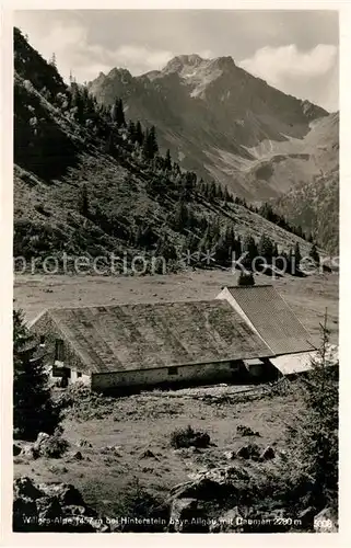 AK / Ansichtskarte Hinterstein Bad Hindelang Willers Alpe 