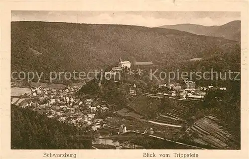 AK / Ansichtskarte Schwarzburg Thueringer Wald Blick vom Trippstein Kat. Schwarzburg