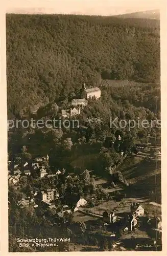 AK / Ansichtskarte Schwarzburg Thueringer Wald Blick vom Trippstein Kat. Schwarzburg