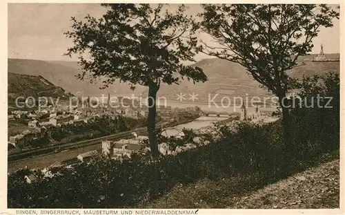 AK / Ansichtskarte Bingen Rhein Bingerbrueck Maeuseturm Niederwalddenkmal Kat. Bingen am Rhein