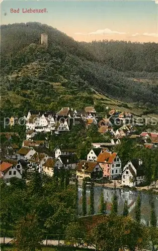 AK / Ansichtskarte Bad Liebenzell Teilansicht mit Burg Kat. Bad Liebenzell