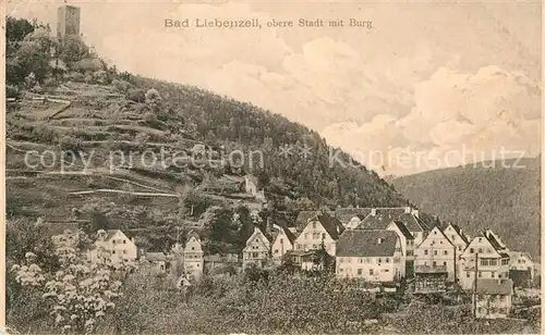 AK / Ansichtskarte Bad Liebenzell Stadtansicht und Burg Kat. Bad Liebenzell