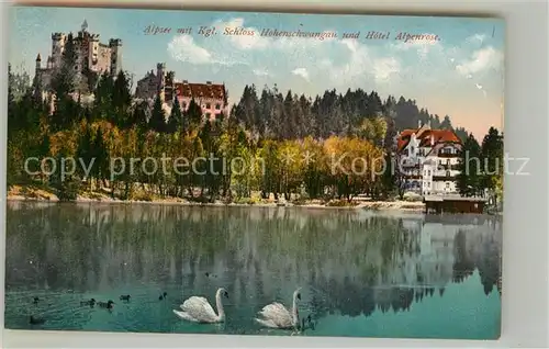 AK / Ansichtskarte Hohenschwangau Schloss Hotel Alpenrose Kat. Schwangau