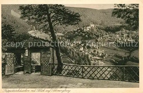 AK / Ansichtskarte Schwarzburg Thueringer Wald Blick vom Trippsteinhaeuschen Kat. Schwarzburg