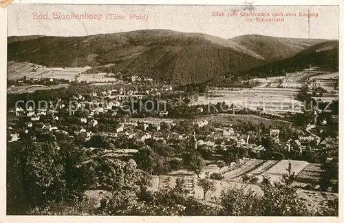 AK / Ansichtskarte Bad Blankenburg Blick vom Greifenstein Kat. Bad Blankenburg