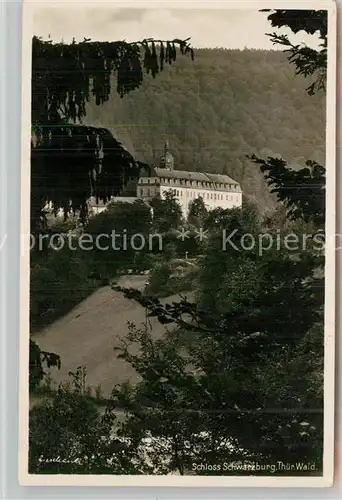 AK / Ansichtskarte Schwarzburg Thueringer Wald Schloss Kat. Schwarzburg