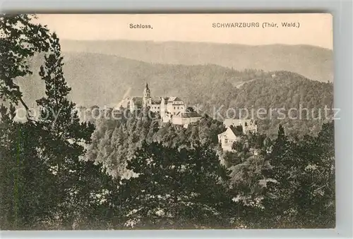 AK / Ansichtskarte Schwarzburg Thueringer Wald Schloss Kat. Schwarzburg