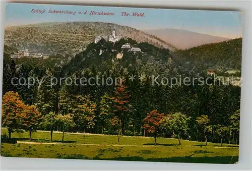 AK / Ansichtskarte Schwarzburg Thueringer Wald Hirschwiese Schloss Kat. Schwarzburg