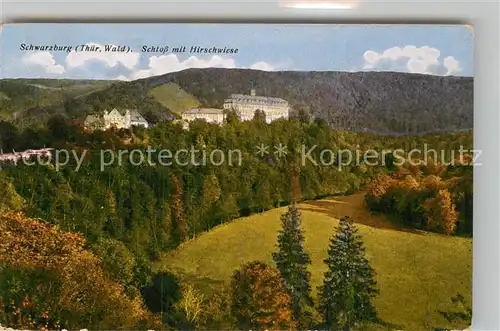 AK / Ansichtskarte Schwarzburg Thueringer Wald Schloss mit Hirschwiese Kat. Schwarzburg