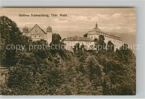 AK / Ansichtskarte Schwarzburg Thueringer Wald Schloss Kat. Schwarzburg