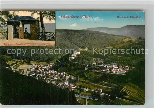AK / Ansichtskarte Schwarzburg Thueringer Wald Trippsteinhaeuschen Panorama mit Schloss Kat. Schwarzburg