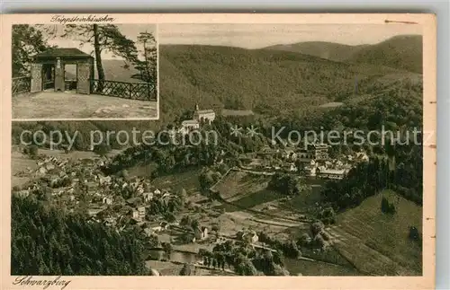 AK / Ansichtskarte Schwarzburg Thueringer Wald Blick vom Trippsteinhaeuschen Kat. Schwarzburg