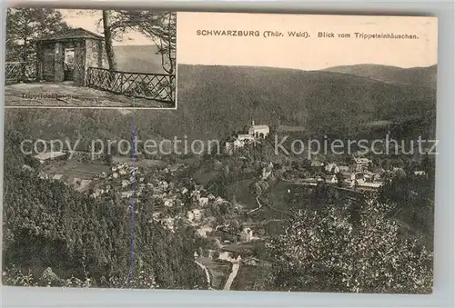 AK / Ansichtskarte Schwarzburg Thueringer Wald Blick vom Trippsteinhaeuschen Kat. Schwarzburg