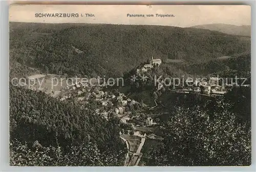 AK / Ansichtskarte Schwarzburg Thueringer Wald Panorama vom Trippstein  Kat. Schwarzburg