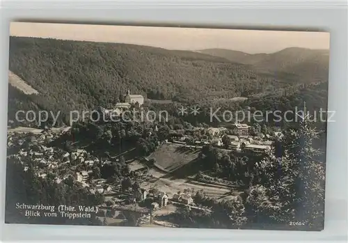 AK / Ansichtskarte Schwarzburg Thueringer Wald Blick vom Trippstein Kat. Schwarzburg