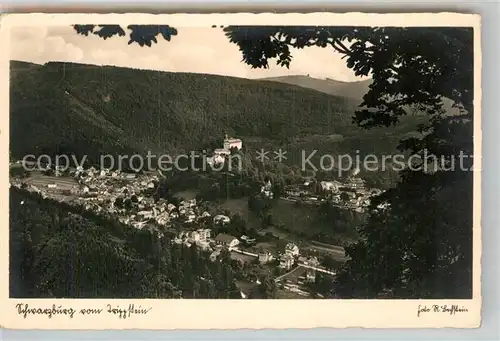 AK / Ansichtskarte Schwarzburg Thueringer Wald Blick vom Trippstein Kat. Schwarzburg