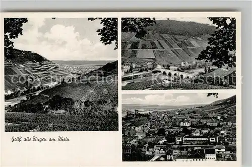 AK / Ansichtskarte Bingen Rhein Panorama  Kat. Bingen am Rhein