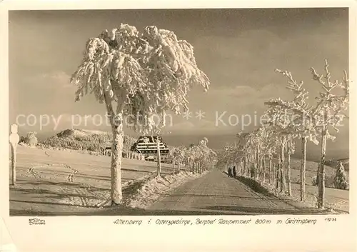 AK / Ansichtskarte Altenberg Erzgebirge Berghof Raupennest  Kat. Geising