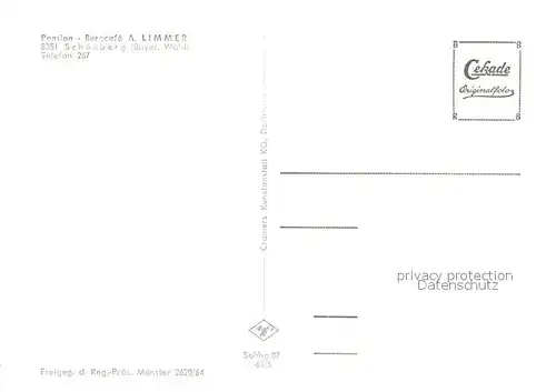 AK / Ansichtskarte Schoenberg Bayerischer Wald Pension Bergcafe A. Limmer