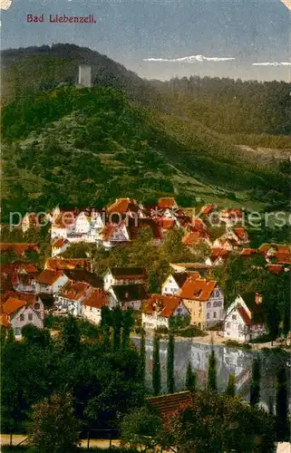 AK / Ansichtskarte Bad Liebenzell Gesamtansicht Burg Kat. Bad Liebenzell