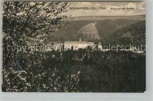 AK / Ansichtskarte Schwarzburg Thueringer Wald Schlossblick Kat. Schwarzburg