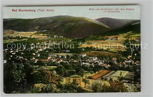 AK / Ansichtskarte Bad Blankenburg Blick vom Greifenstein ins Schwarzatal Kat. Bad Blankenburg