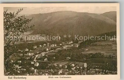 AK / Ansichtskarte Bad Blankenburg Blick vom Greifenstein Kat. Bad Blankenburg