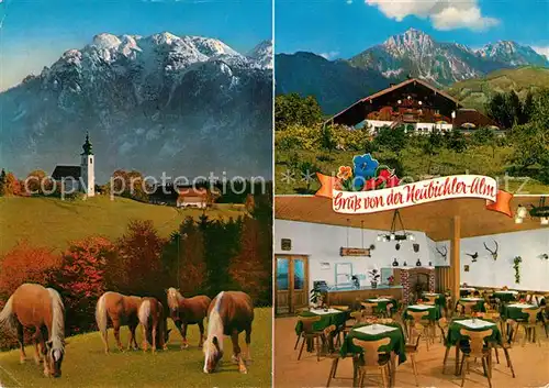 AK / Ansichtskarte Hoegl Piding Berggaststaette Neubichleralm Haflinger Pferde Alpenpanorama