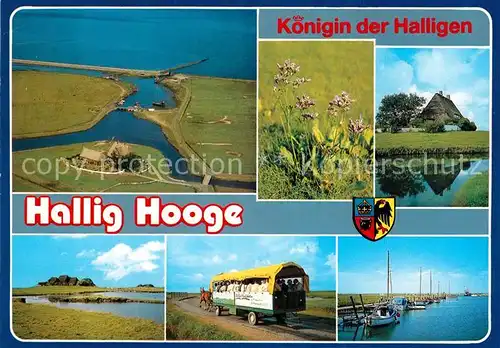AK / Ansichtskarte Hallig Hooge Landschaftspanorama Pferdewagen Hafen Natur Koenigin der Halligen Kat. Hooge