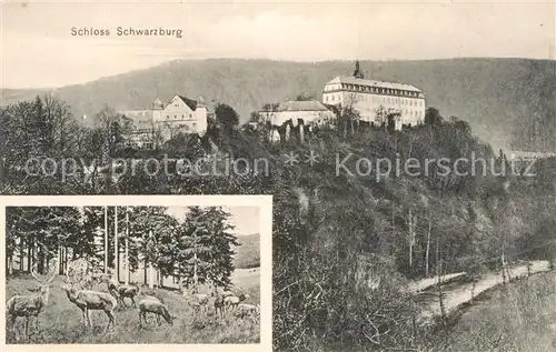 AK / Ansichtskarte Schwarzburg Thueringer Wald Schloss Schwarzburg / Schwarzburg /Saalfeld-Rudolstadt LKR