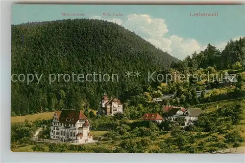 AK / Ansichtskarte Bad Liebenzell Teilansicht  Kat. Bad Liebenzell