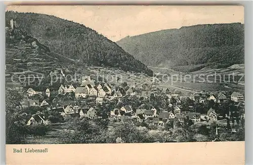 AK / Ansichtskarte Bad Liebenzell Teilansicht  Kat. Bad Liebenzell