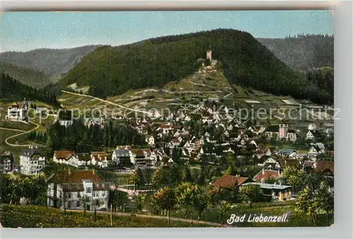 AK / Ansichtskarte Bad Liebenzell Totalansicht  Kat. Bad Liebenzell