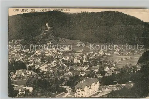 AK / Ansichtskarte Bad Liebenzell Teilansicht  Kat. Bad Liebenzell