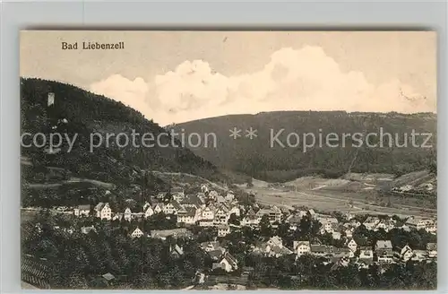 AK / Ansichtskarte Bad Liebenzell Teilansicht  Kat. Bad Liebenzell