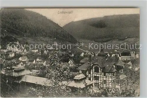 AK / Ansichtskarte Bad Liebenzell Teilansicht  Kat. Bad Liebenzell