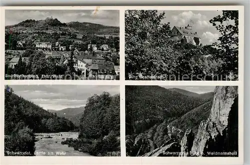 AK / Ansichtskarte Bad Blankenburg Panorama Burg Greifenstein Partie am Wehr Waidmannsheil Kat. Bad Blankenburg