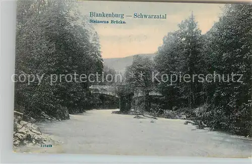 AK / Ansichtskarte Bad Blankenburg Steinerne Bruecke im Schwarzatal Kat. Bad Blankenburg