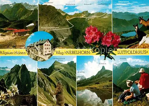 AK / Ansichtskarte Oberstdorf Hoehenweg vom Nebelhorn zum Hochvogel Luitpoldhaus Allgaeuer Alpen Gemsen Murmeltier Bergsee Kat. Oberstdorf