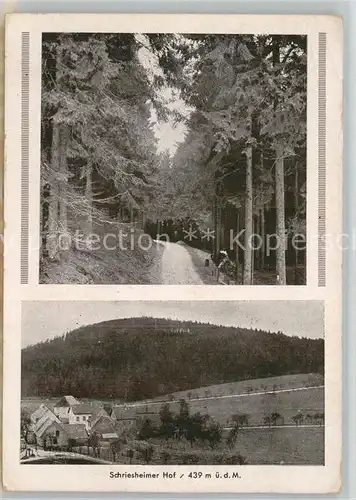 AK / Ansichtskarte Heidelberg Neckar Panorama Gasthaus Schriesheimer Hof Kat. Heidelberg