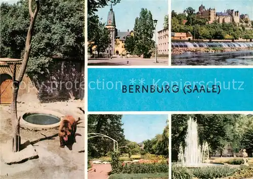 AK / Ansichtskarte Bernburg Saale Baerenzwinger am Schloss Kurhaus Rosengarten Marx Engels Platz Kat. Bernburg