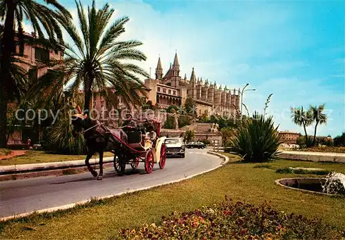 AK / Ansichtskarte Palma de Mallorca Paseo y Catedral Kat. Palma de Mallorca