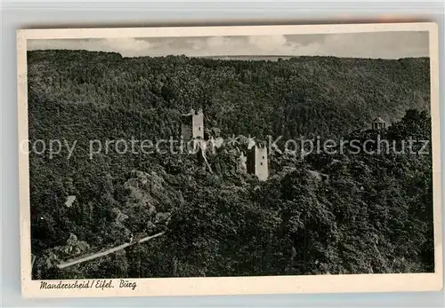AK / Ansichtskarte Manderscheid Eifel Burg Kat. Manderscheid