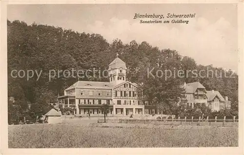 AK / Ansichtskarte Blankenburg Bad Sanatorium am Goldberg Kat. Bad Blankenburg