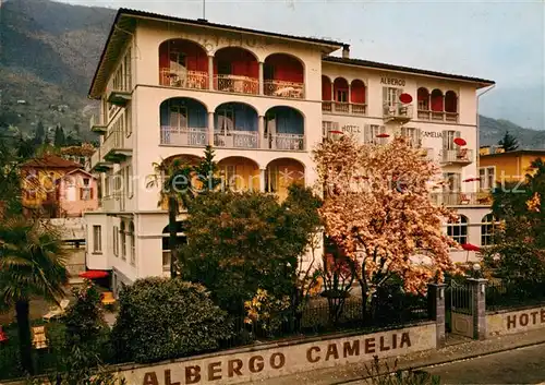 AK / Ansichtskarte Locarno Lago Maggiore Hotel Camelia
