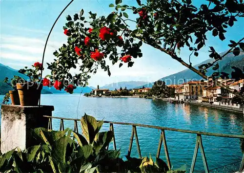 AK / Ansichtskarte Lago di Como  Kat. Italien